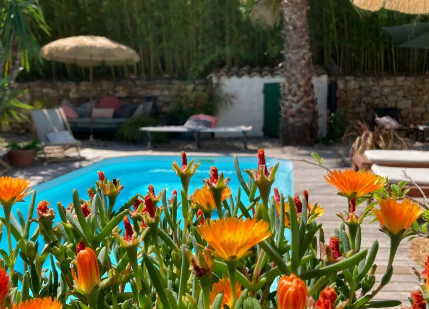 Maison D Hotes La Villa Madeleine Sanary-sur-Mer Bed & Breakfast
